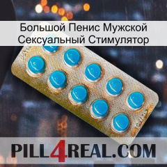 Большой Пенис Мужской Сексуальный Стимулятор new09